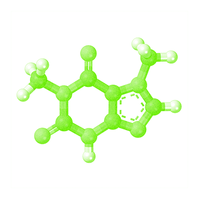 Paraxanthine molecule